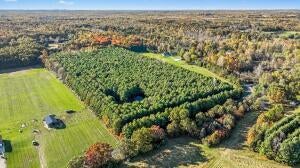 45924 COUNTY ROAD 665, PAW PAW, MI 49079 - Image 369f0c991ef782bbb31e38d16bfb686d/343248061