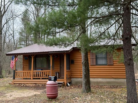 Photo of 14995 N River Road, Brethren, MI 49619 (MLS # 26019008)
