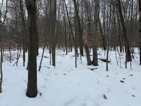 12066 Red Feather Lane Canadian Lakes MI 49346