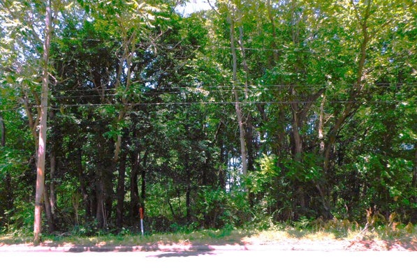 E NAPIER AVENUE, BENTON HARBOR, MI 49022 - Image 37ac2beea0bc3e11be0a6af8742b90e9/945737327