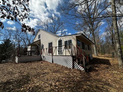 10619 N River Dr Ranch Road, Free Soil, MI 49411 - MLS#: 25015140