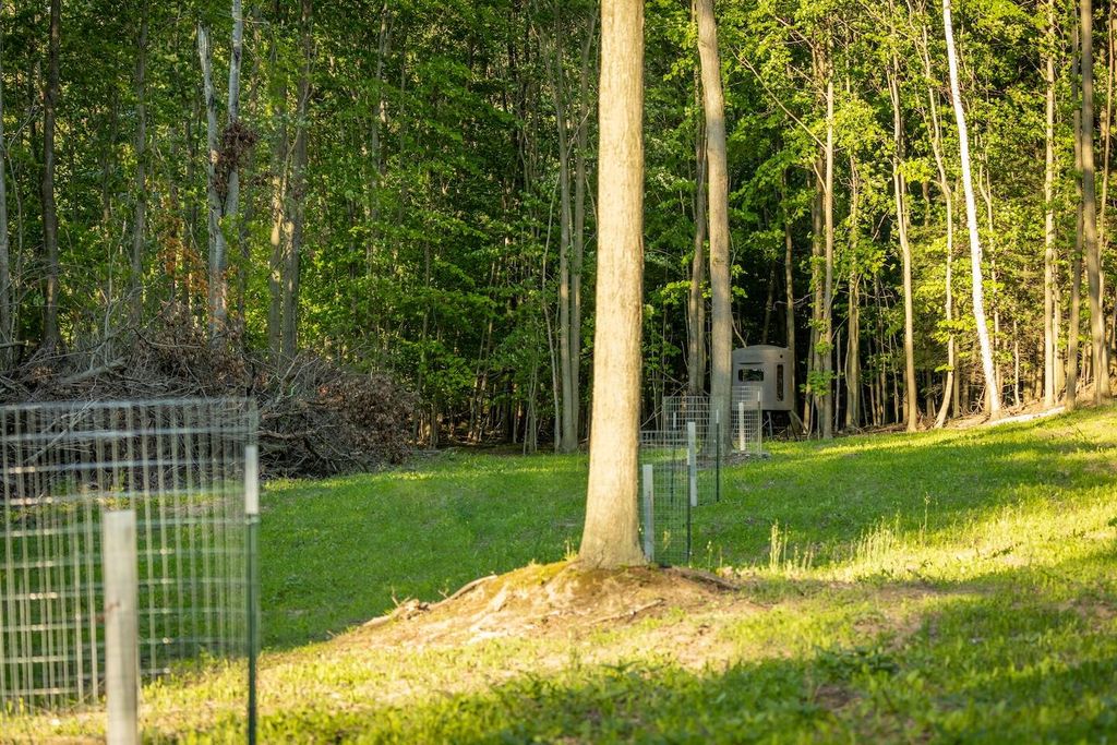 Photo of 00 V/L Amber Rd., Mears, MI 49436 (MLS # 26003139)