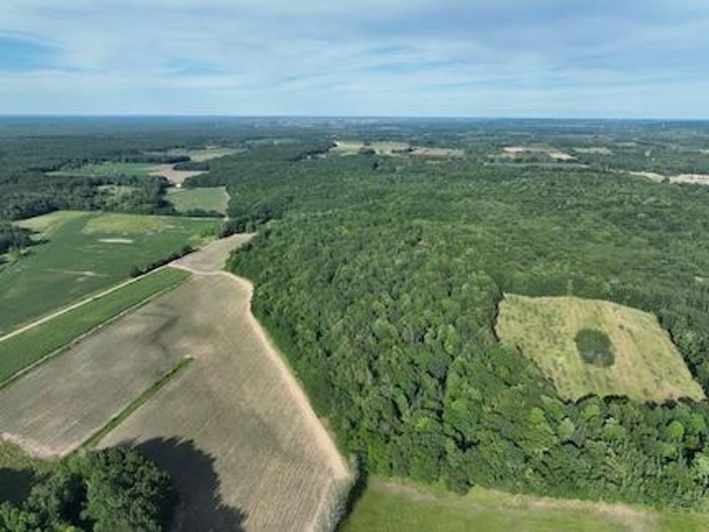 Photo of 00 V/L Amber Rd., Mears, MI 49436 (MLS # 26003139)