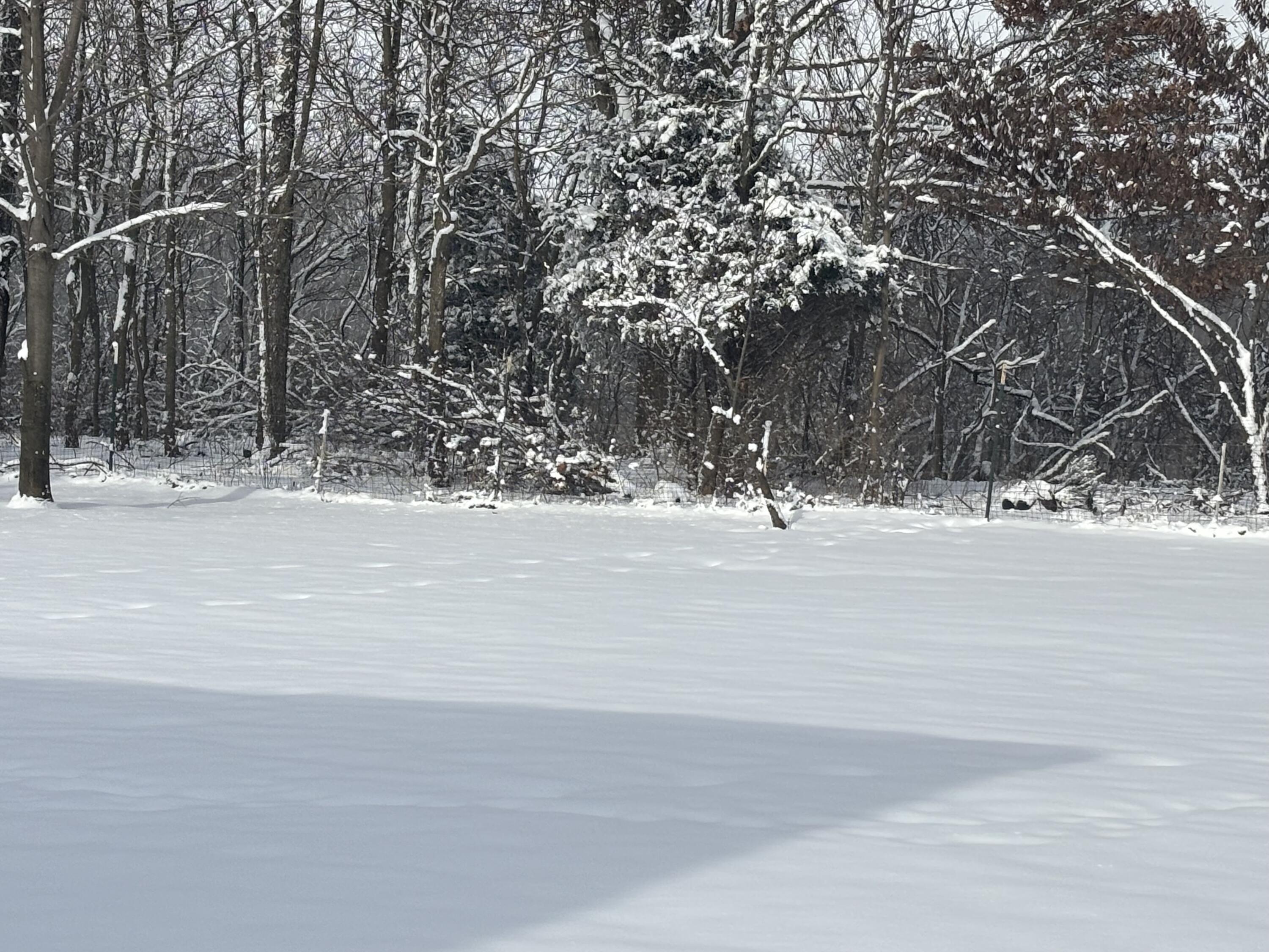 Niles, Michigan 49120, United States, 4 Bedrooms Bedrooms, ,3 BathroomsBathrooms,Residential,Pending,16428