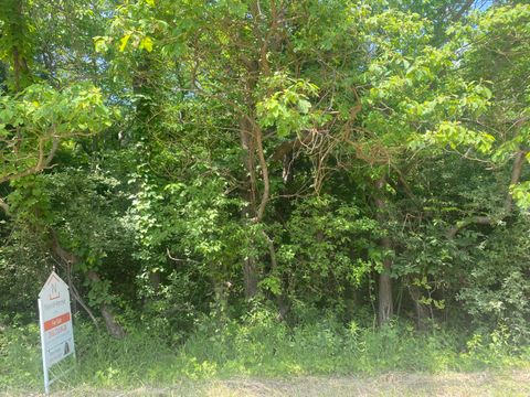 Photo of V/L N 55th Street-B, Grand Junction, MI 49056 (MLS # 25029308)