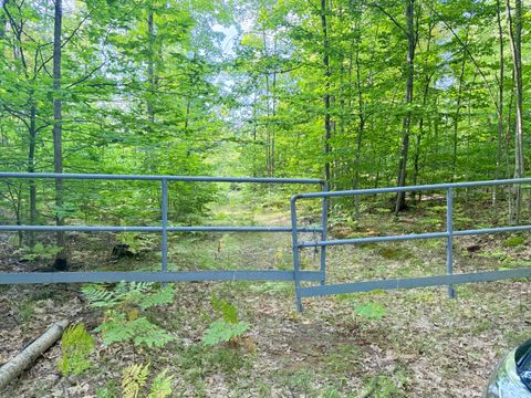 Photo of VL 3 Mile Road, Luther, MI 49656 (MLS # 25046614)