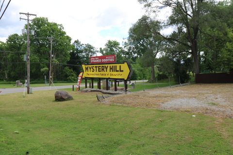 Photo of 7611 US Highway 12, Onsted, MI 49265 (MLS # 25009699)