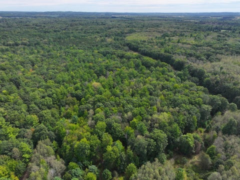Photo of V/L 5.5A W Jefferson Road, Hart, MI 49420 (MLS # 26051019)