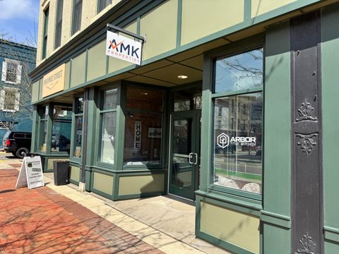 Photo of 103 E Maumee Street, Adrian, MI 49221 (MLS # 26016325)