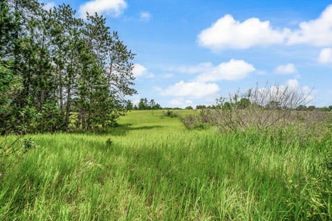 Photo for 13751 Mackinaw Trail