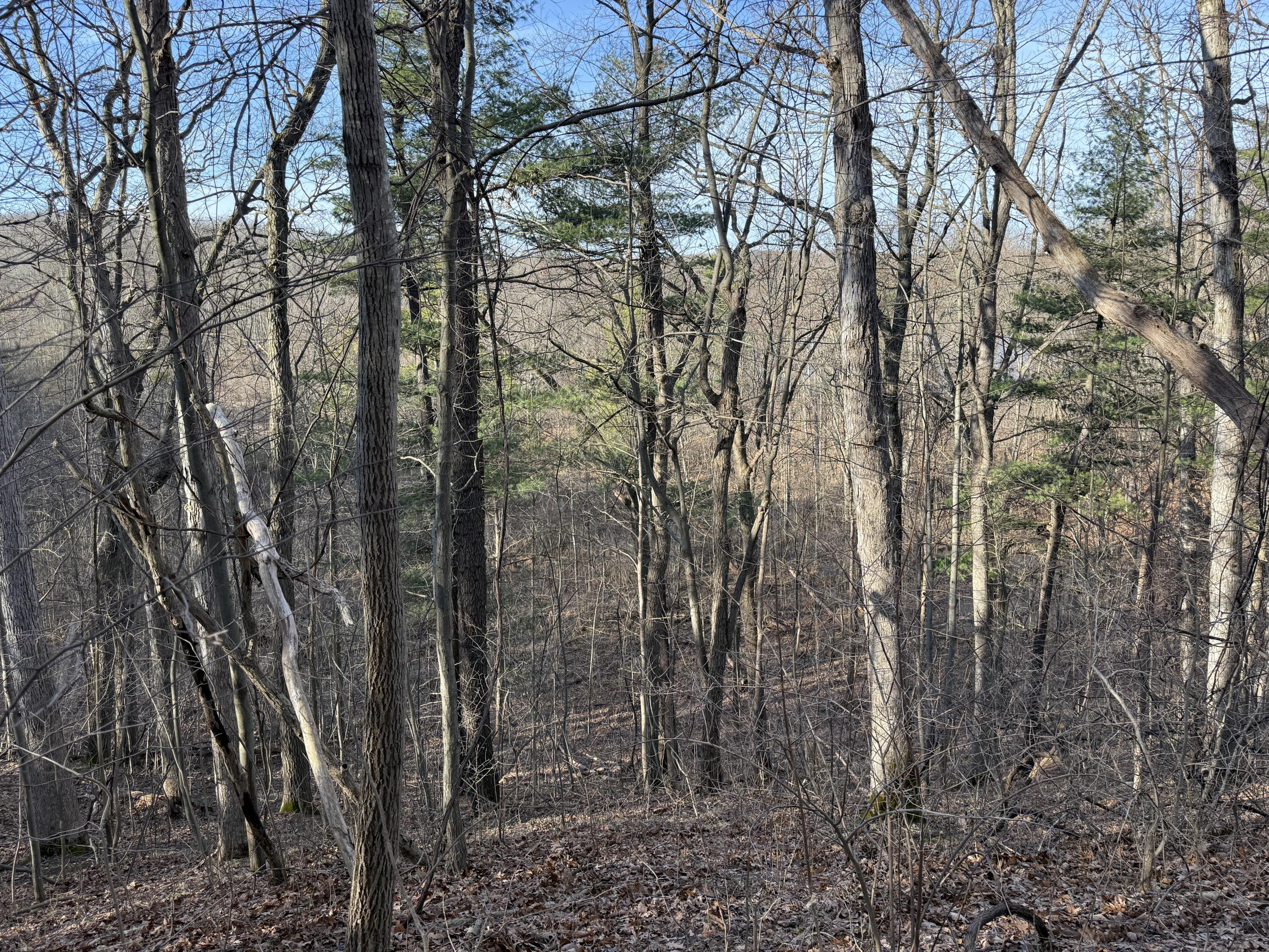 5950 S Lake George Road Road