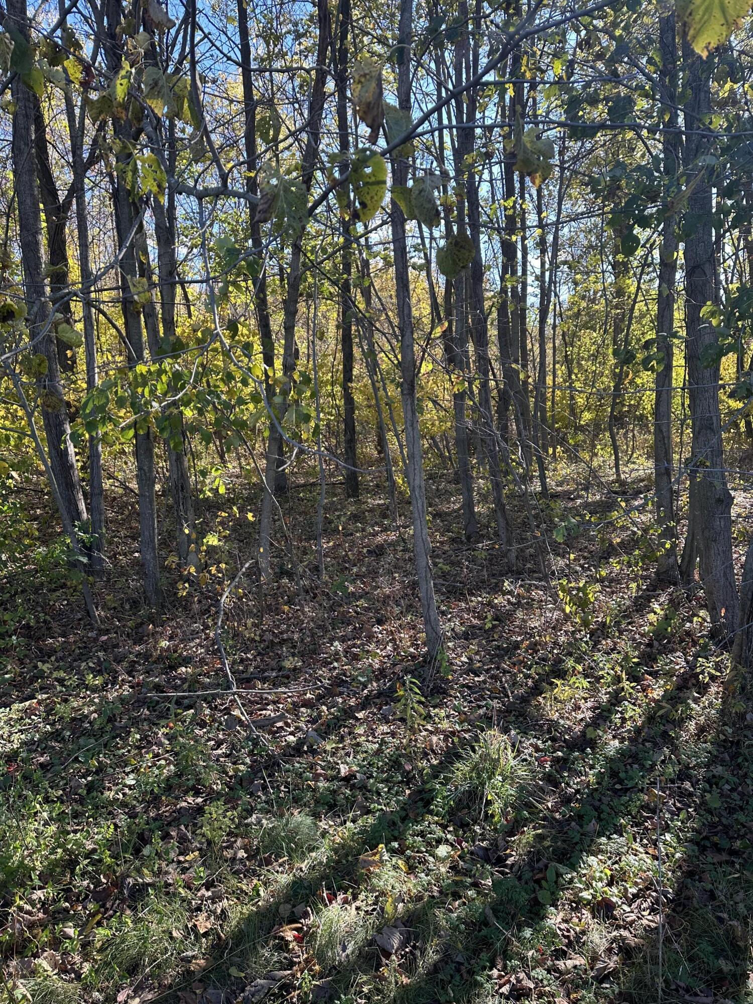 Plainwell, Michigan 49080, United States, ,Land,Pending,38616