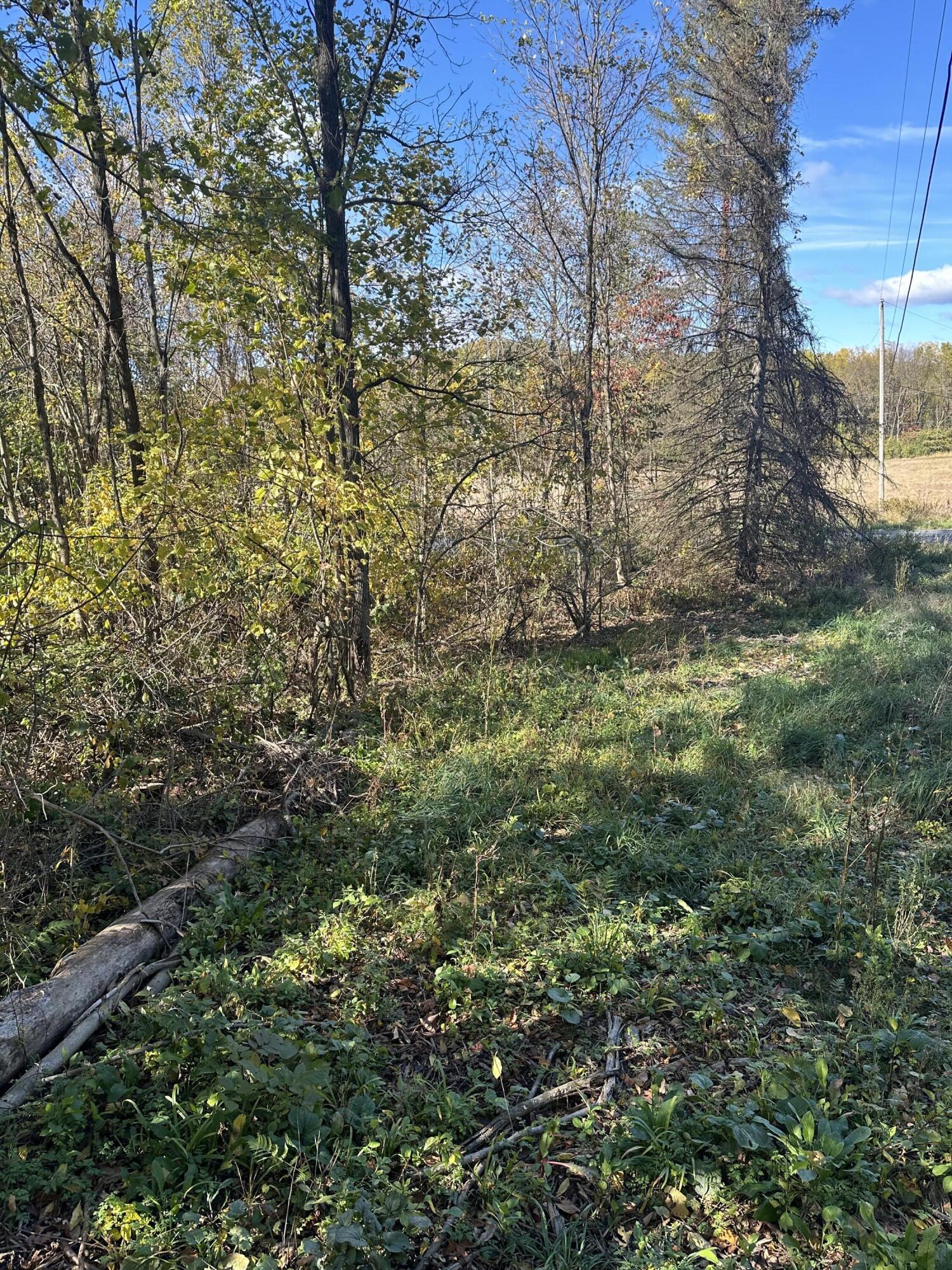 Plainwell, Michigan 49080, United States, ,Land,Pending,38616