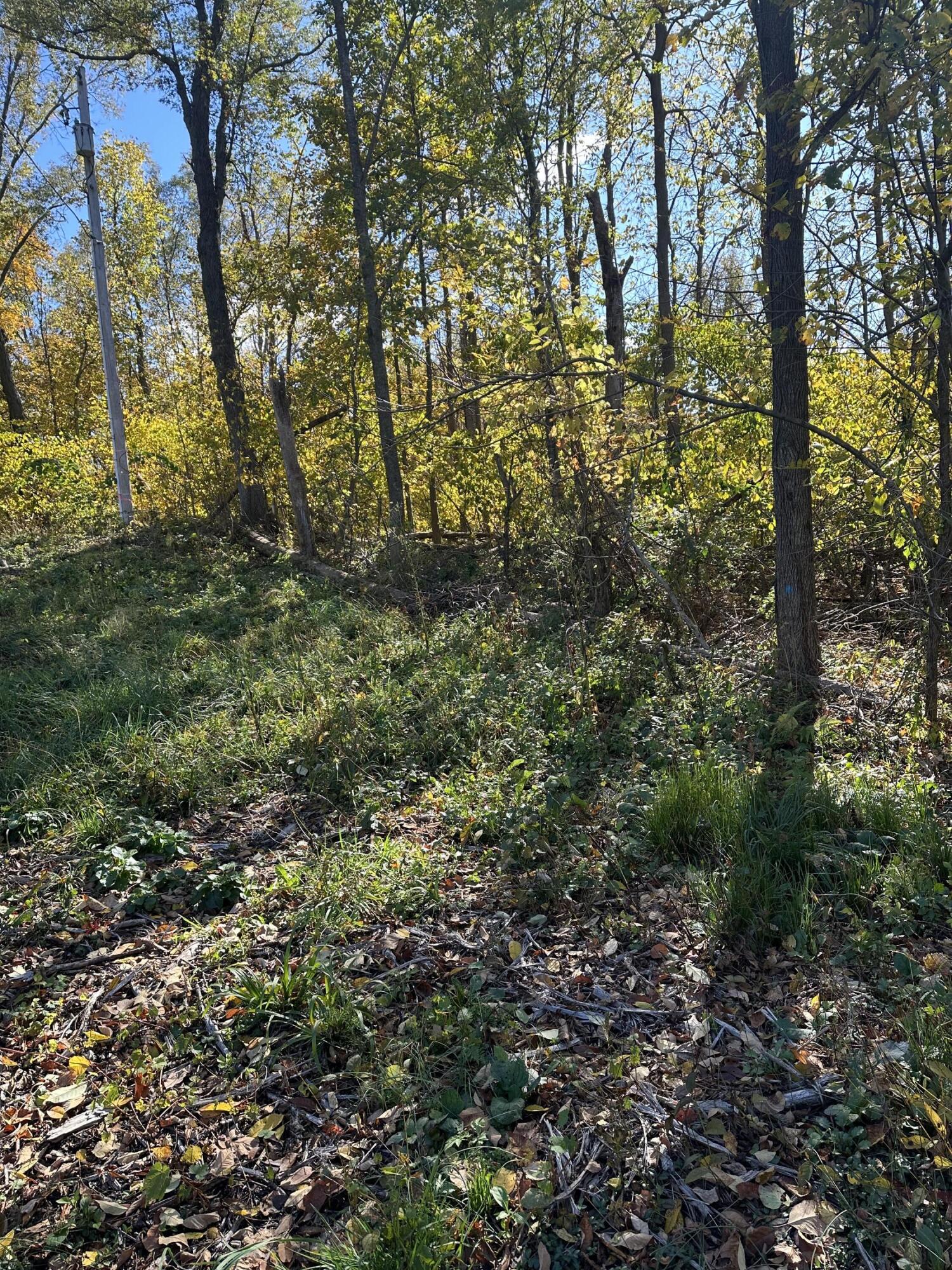 Plainwell, Michigan 49080, United States, ,Land,Pending,38616