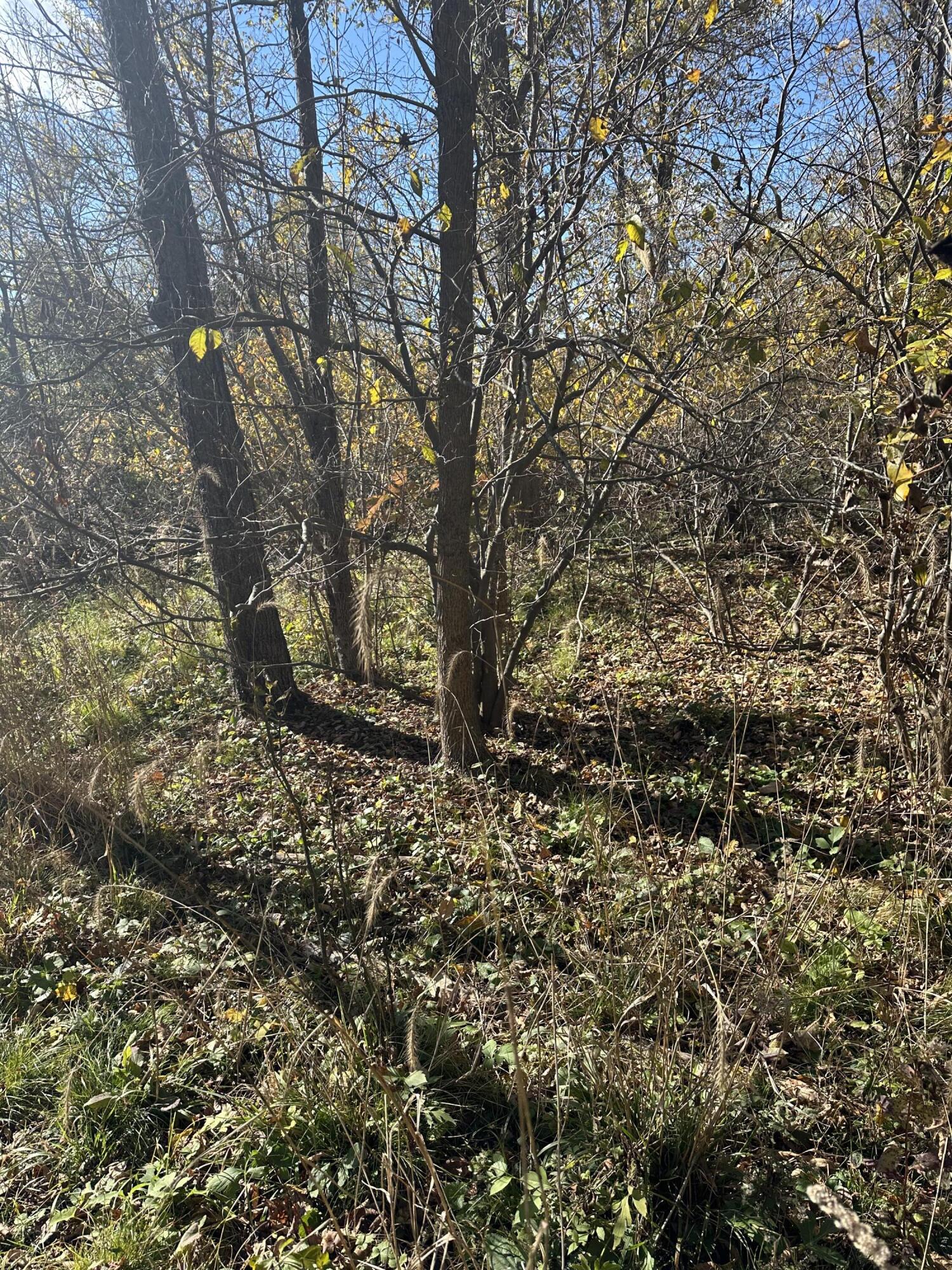 Plainwell, Michigan 49080, United States, ,Land,Pending,38616