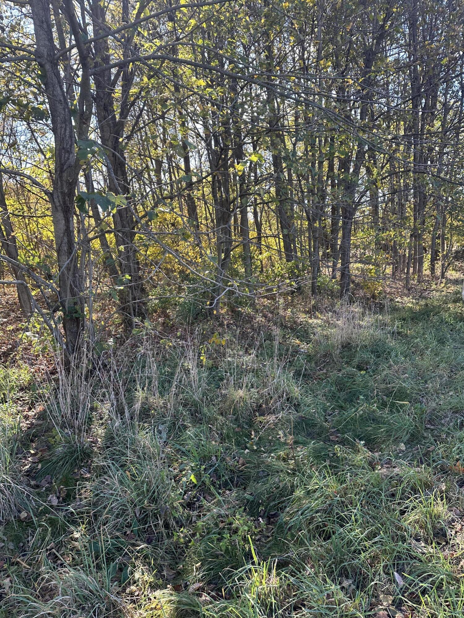 Plainwell, Michigan 49080, United States, ,Land,Pending,38616