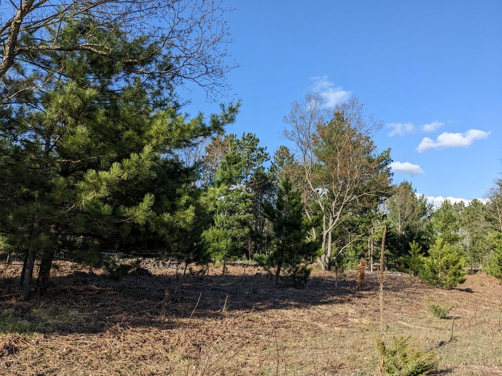 Photo of Jussi Street, Kaleva, MI 49645 (MLS # 26004981)