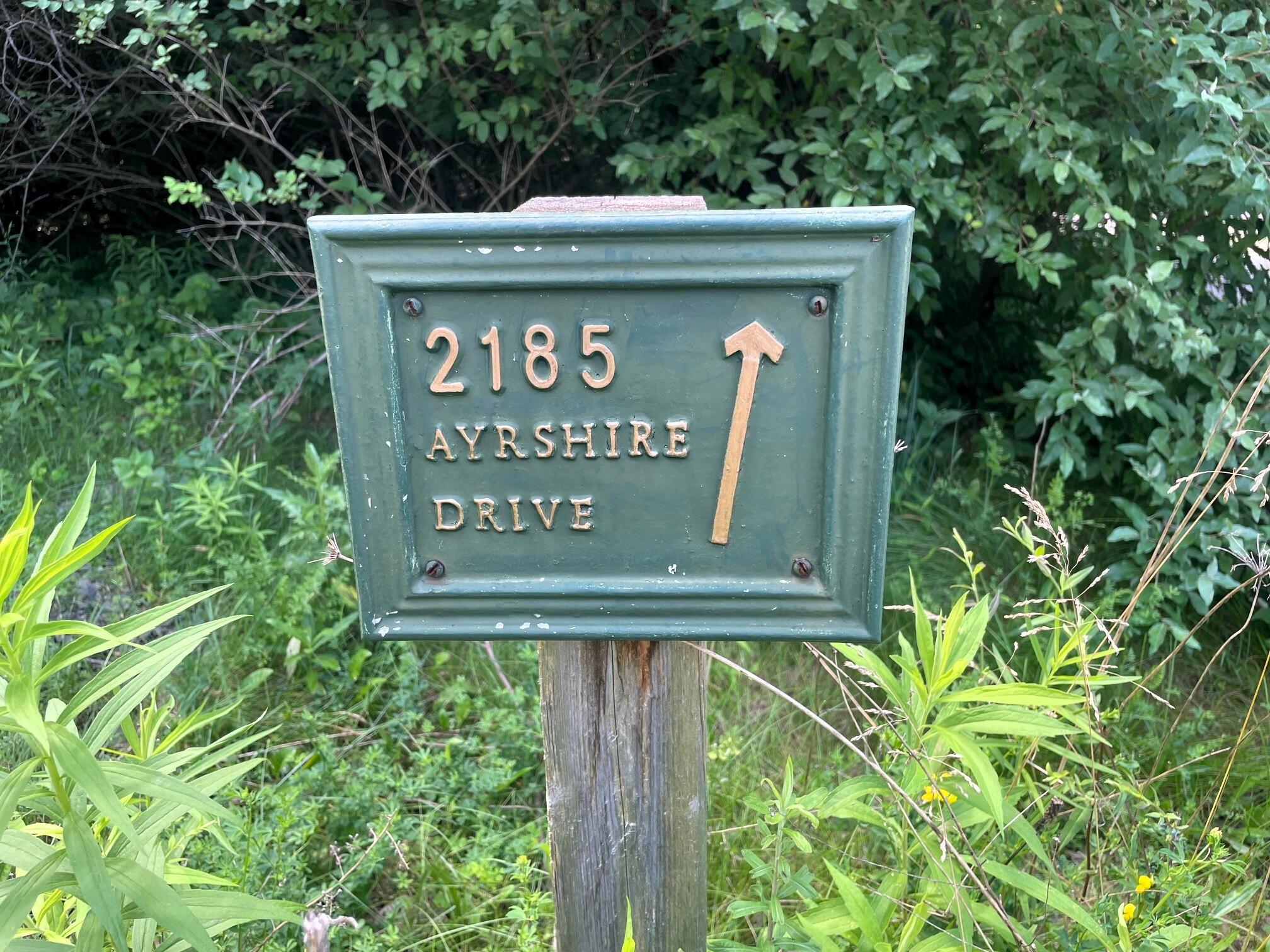 Ann Arbor, Michigan 48105, United States, 3 Bedrooms Bedrooms, ,3 BathroomsBathrooms,Residential,Active,161838