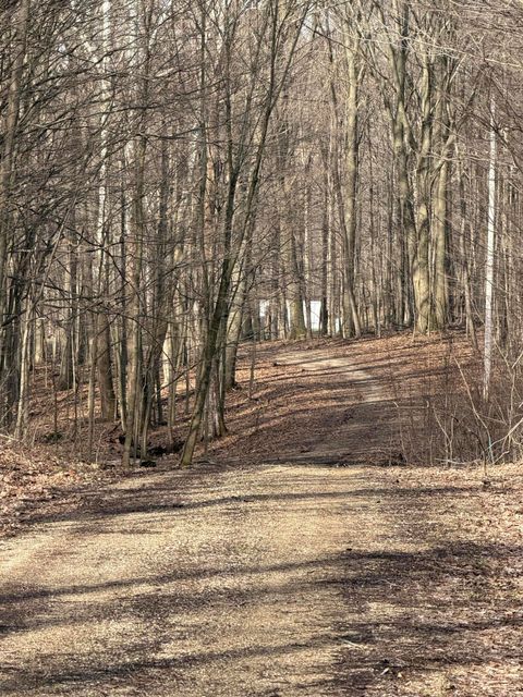 Photo of V/L 38th Street, Gobles, MI 49055 (MLS # 26011082)