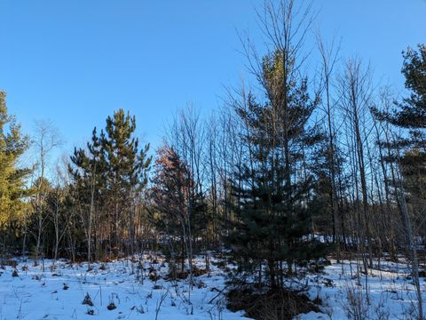 Photo of 6 Jussi Street, Kaleva, MI 49645 (MLS # 26004978)