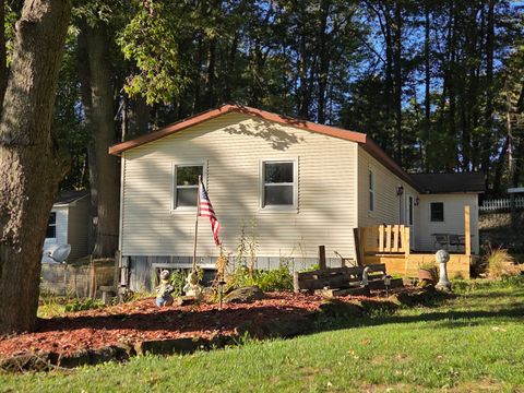 Photo of 4280 Birch Drive, Lake, MI 48632 (MLS # 25052725)