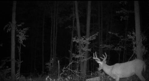 Photo for 00 Babbit Rd