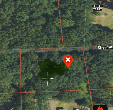 Photo of VL Sherman Road, Fountain, MI 49410 (MLS # 26011309)