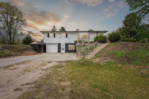 620 N Lake Road, Stanton, MI 48888 - MLS#: 25021670