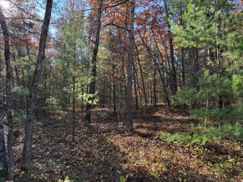 Photo of Parcel 5 County Line Road, Free Soil, MI 49411 (MLS # 26009981)