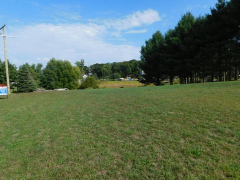 Photo of 48855 South Street, Lawrence, MI 49064 (MLS # 25046641)