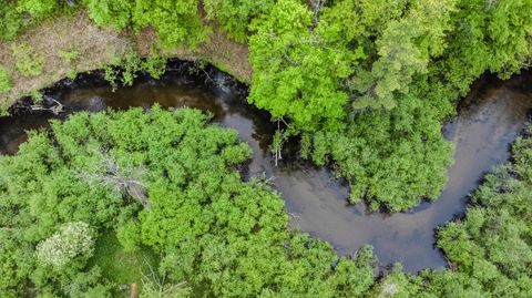 Photo of V/L East Pomeroy Springs Rd, Irons, MI 49644 (MLS # 25027073)