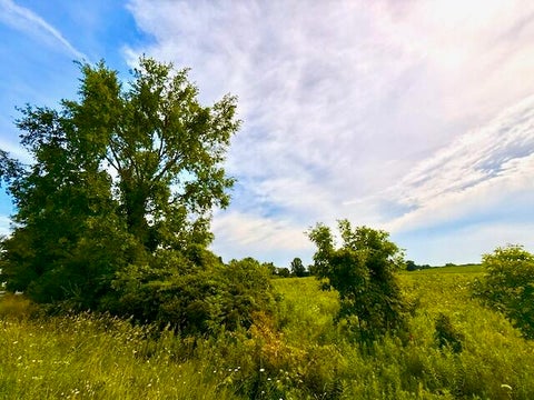 Photo for 0 Carpenter Road