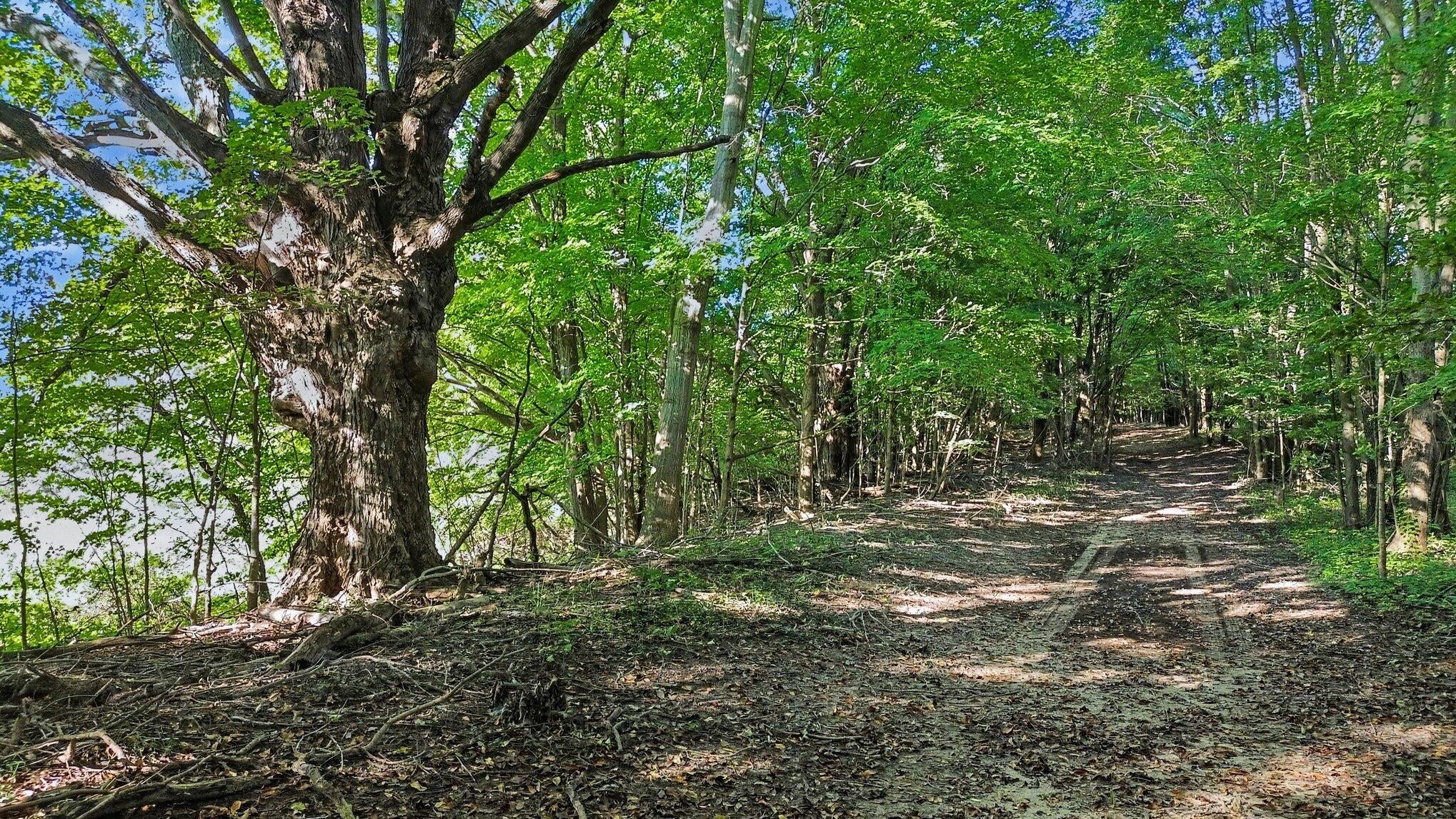 N County Line Road