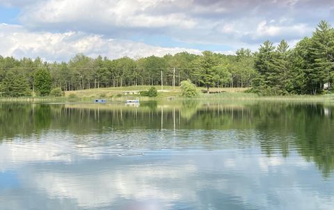 Photo of 4953 M-37, Baldwin, MI 49304 (MLS # 25055782)