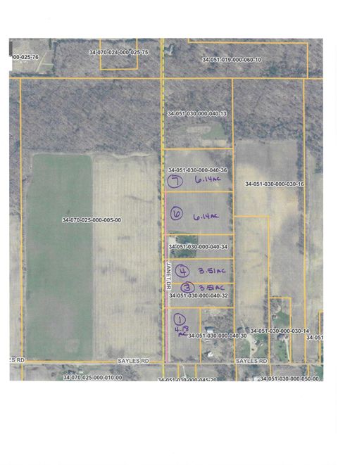 Photo of V/L Janet Dr Parcel 1, Saranac, MI 48881 (MLS # 26009799)