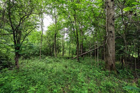 Photo of 27015 50th ST, Bangor, MI 49013 (MLS # 23012486)