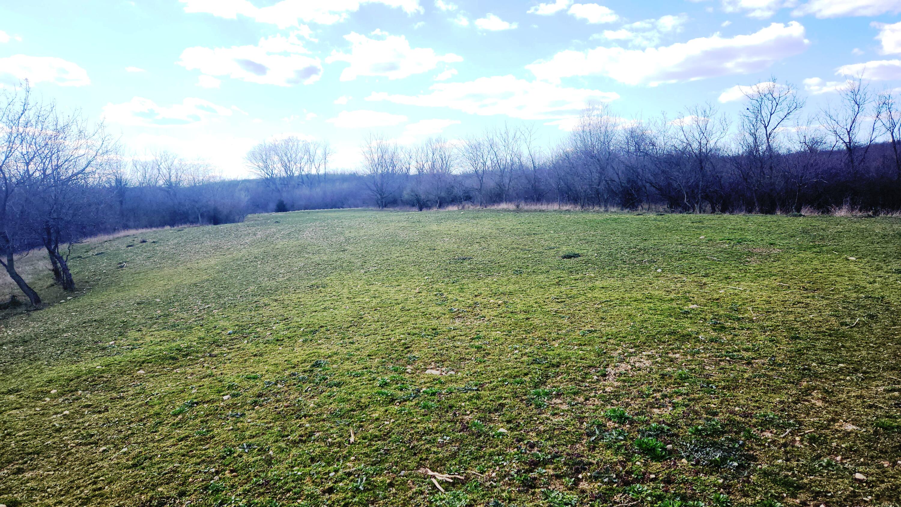 13245 Logan Road