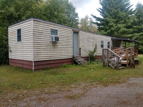 Photo of 8653 E Remus Road, Mount Pleasant, MI 48858 (MLS # 25045775)