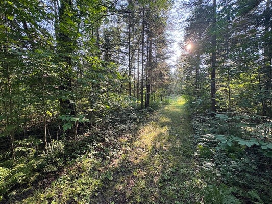 CHANNEL LAKE RD, WEST BRANCH, MI 48661 - Image 42e39e99ddc5210f563eb1027cbd3951/1720269974