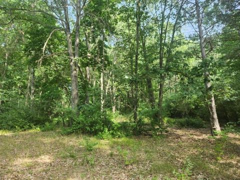 Photo of 7354 S Riverbend Road #LOT 52, Branch, MI 49402 (MLS # 25039272)