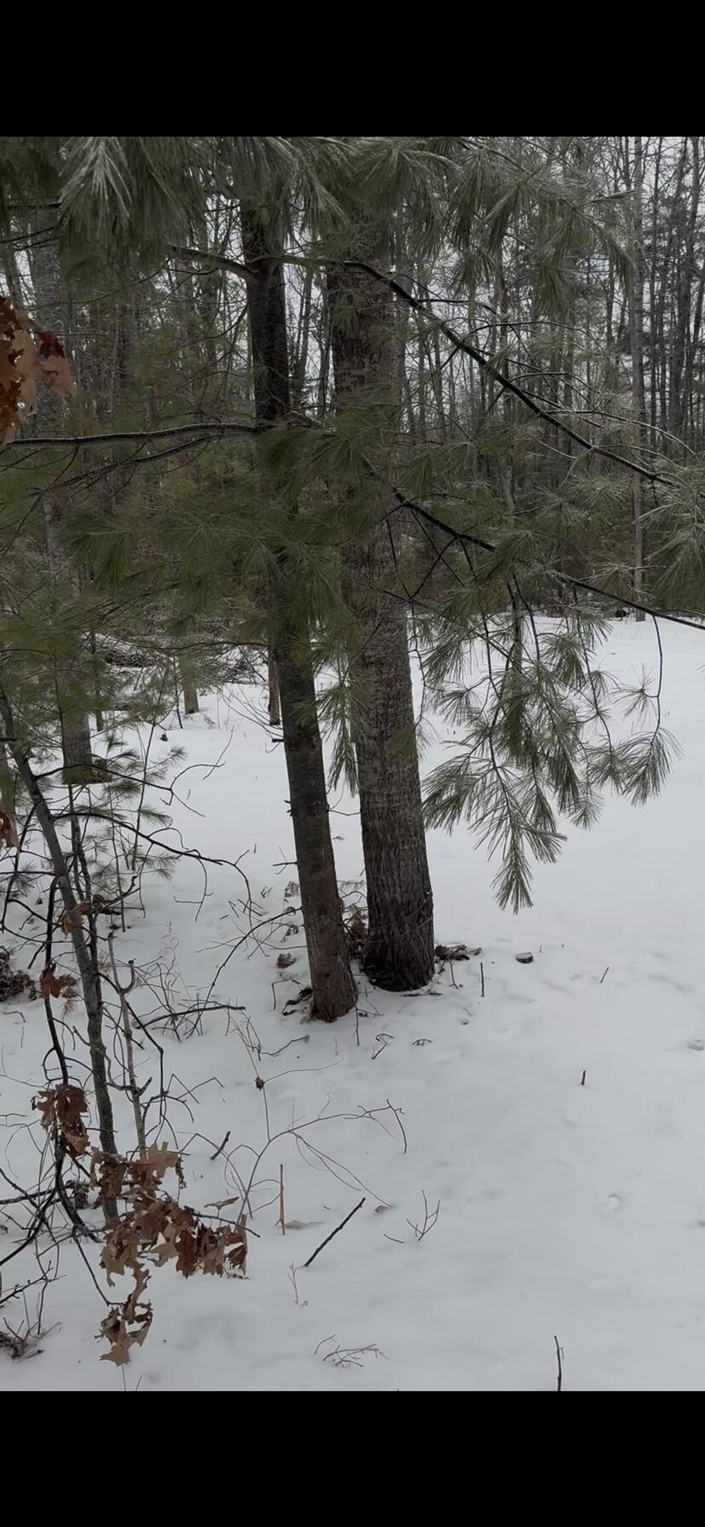 Photo of River Drive, Atlanta, MI 49709 (MLS # 26004958)