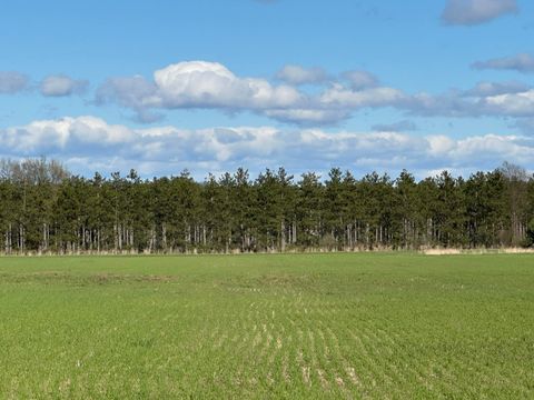Photo of 2210 E Gajeski Road, Free Soil, MI 49411 (MLS # 26019504)