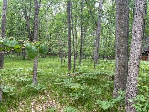 12060 Chinook Drive Stanwood MI 49346