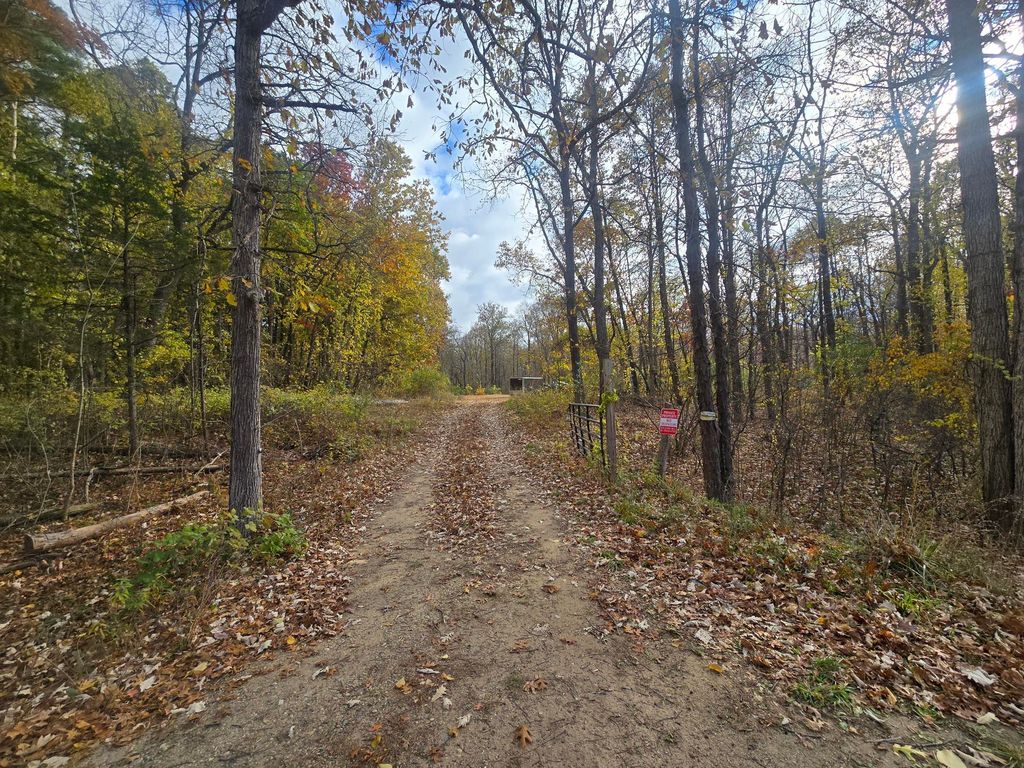 Photo of 13395 Warner Road, Perry, MI 48872 (MLS # 25056364)