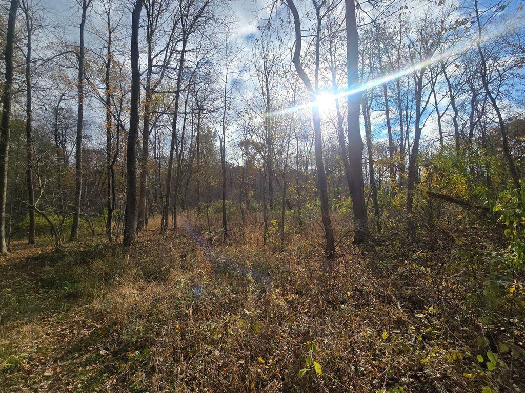 Photo of 13395 Warner Road, Perry, MI 48872 (MLS # 25056364)