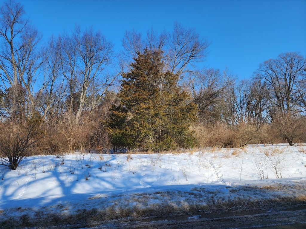 Photo of Shorewood Drive #Lot 2, Three Rivers, MI 49093 (MLS # 26005993)