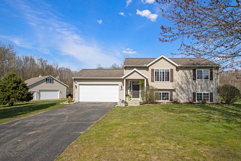 1077 Sun Valley Lane, Allegan, MI 49010 - MLS#: 25018776