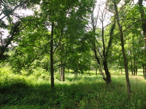 Photo of parcel B CR 215, Grand Junction, MI 49056 (MLS # 25052896)