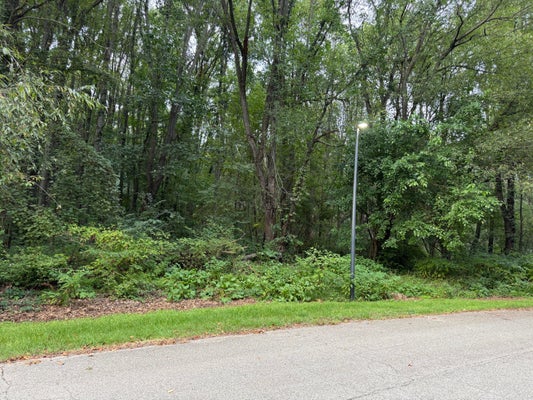 CAMPBELL LAKE DR, PARMA, MI 49269 - Image 4574cbead0ece65f4da50cf0df219a50/3469156982