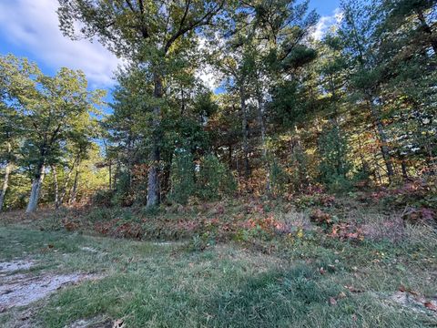 Photo of 1220 Sydney Street #32, Whitehall, MI 49461 (MLS # 25052059)